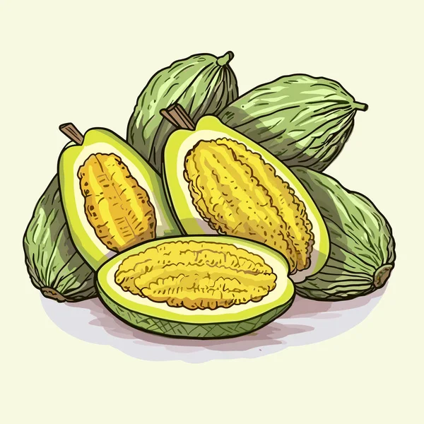 Jackfruit Jackfruit Ručně Kreslené Ilustrace Vektorové Kreslené Kreslené Ilustrace — Stockový vektor