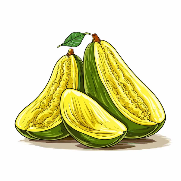 Jackfruit Illustrazione Disegnata Mano Jackfruit Illustrazione Del Fumetto Stile Doodle — Vettoriale Stock