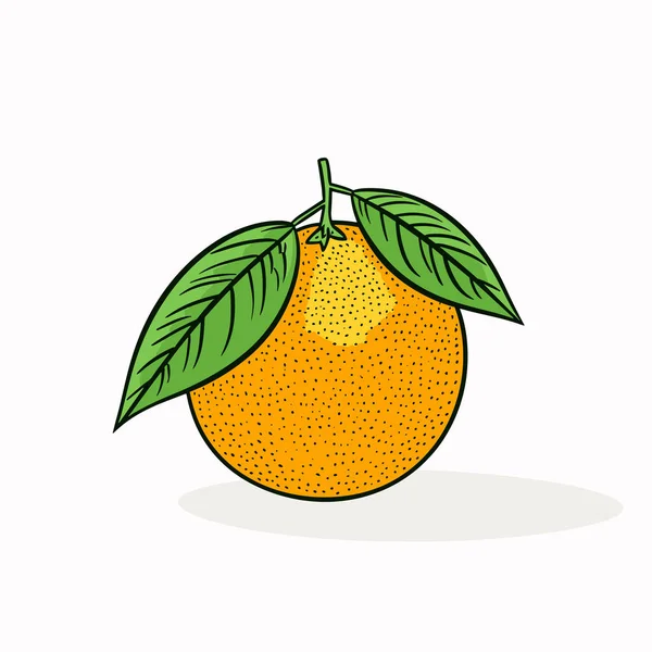 Orange Illustration Orange Dessinée Main Illustration Vectorielle Dessin Animé Style — Image vectorielle