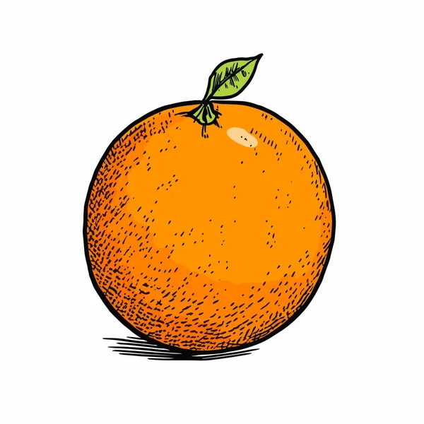 Arancione Illustrazione Disegnata Mano Arancione Illustrazione Del Fumetto Stile Doodle — Vettoriale Stock