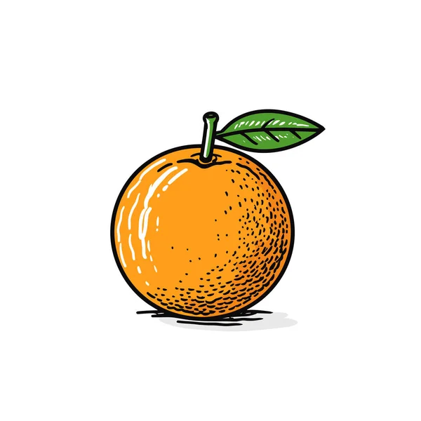Pomarańcza Pomarańczowa Ilustracja Wektor Doodle Styl Kreskówki Ilustracja — Wektor stockowy