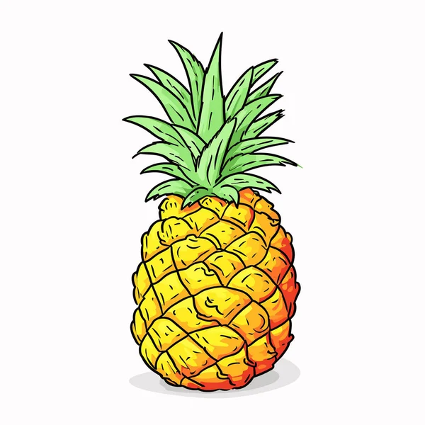 Een Ananas Ananas Met Hand Getekende Illustratie Vector Doodle Stijl — Stockvector
