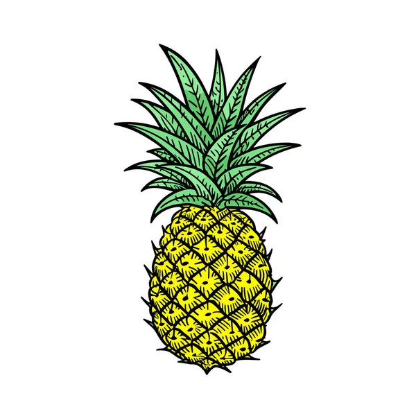 Ananas Illustrazione Disegnata Mano Ananas Illustrazione Del Fumetto Stile Doodle — Vettoriale Stock