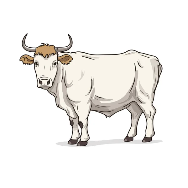 Een Stier Bullock Met Hand Getekend Illustratie Vector Doodle Stijl — Stockvector