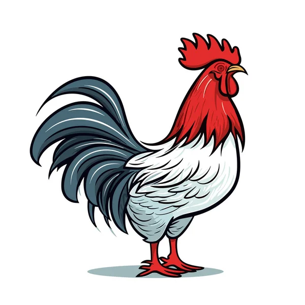 Cock Cock Hand Drawn Illustration Vector Doodle Style Cartoon Illustration — Stock Vector