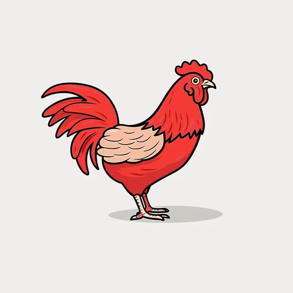 Cock Cock Hand Drawn Illustration Vector Doodle Style Cartoon Illustration — Stock Vector