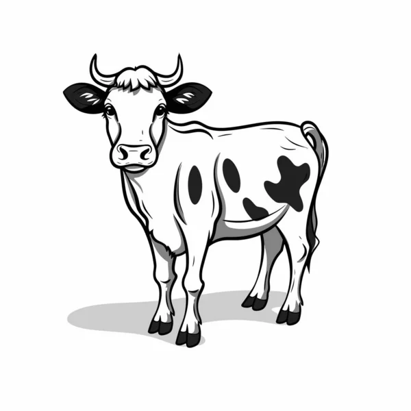 Krowa Ręcznie Rysowana Ilustracja Krowy Wektor Doodle Styl Kreskówki Ilustracja — Wektor stockowy