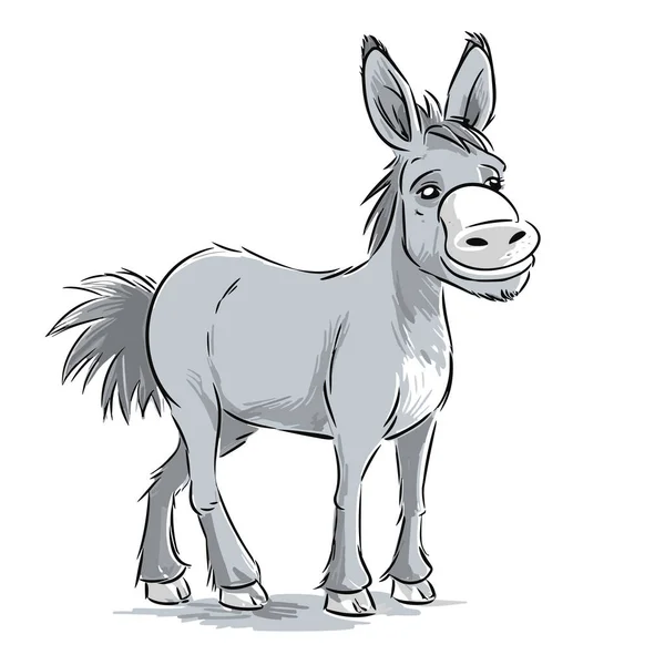 Esel Jack Donkey Jack Håndtegnet Illustrasjon Tegning Vektordoodler – stockvektor