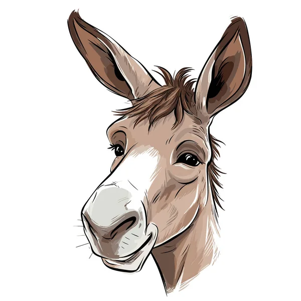 Donkey Jenny Donkey Jenny Hand Drawn Illustration Vector Doodle Style — Stock Vector