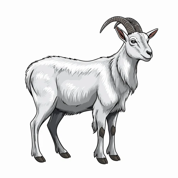 Goat Goat Hand Drawn Illustration Vector Doodle Style Cartoon Illustration — Stock Vector
