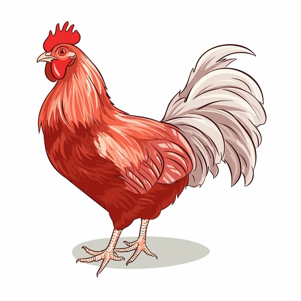 Tavuk Elle Çizilmiş Tavuklar Vektör Karalama Stili Çizgi Film Çizimi — Stok Vektör
