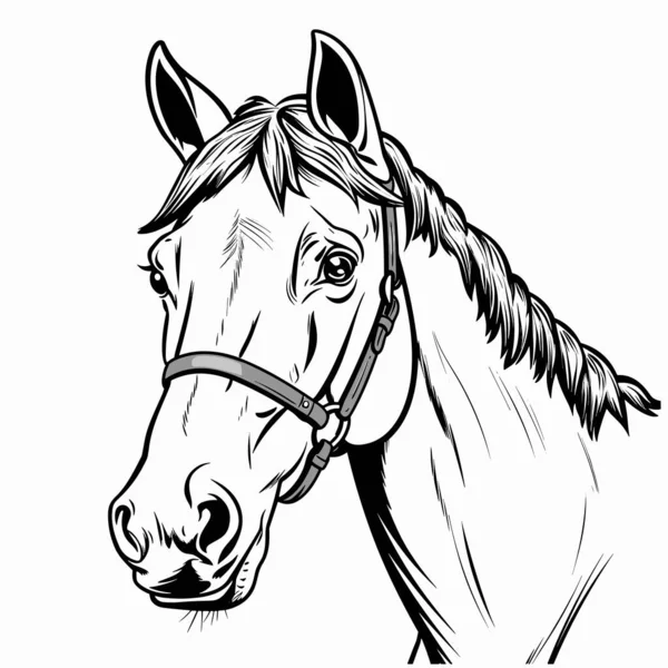 Horse Horse Hand Drawn Illustration Vector Doodle Style Cartoon Illustration — Stock Vector