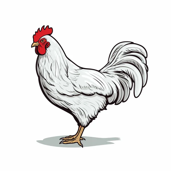 チキンだ 鶏の手描きイラスト ベクトルドアスタイルの漫画イラスト — ストックベクタ