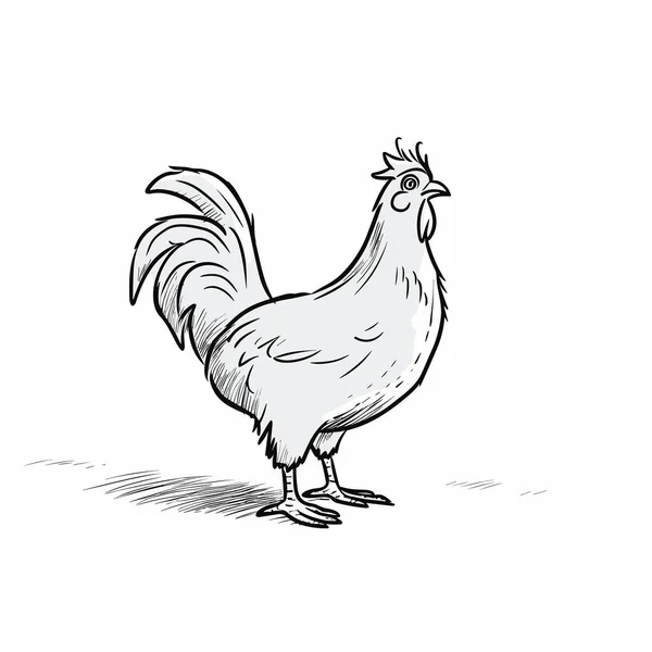 Pollo Illustrazione Disegnata Mano Pollo Illustrazione Del Fumetto Stile Doodle — Vettoriale Stock