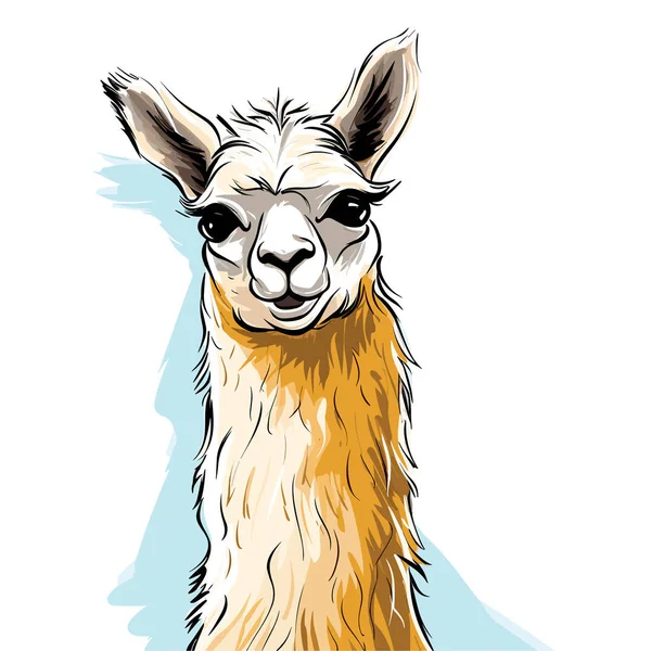 Llama Llama Ilustração Desenhada Mão Vector Doodle Estilo Desenho Animado — Vetor de Stock