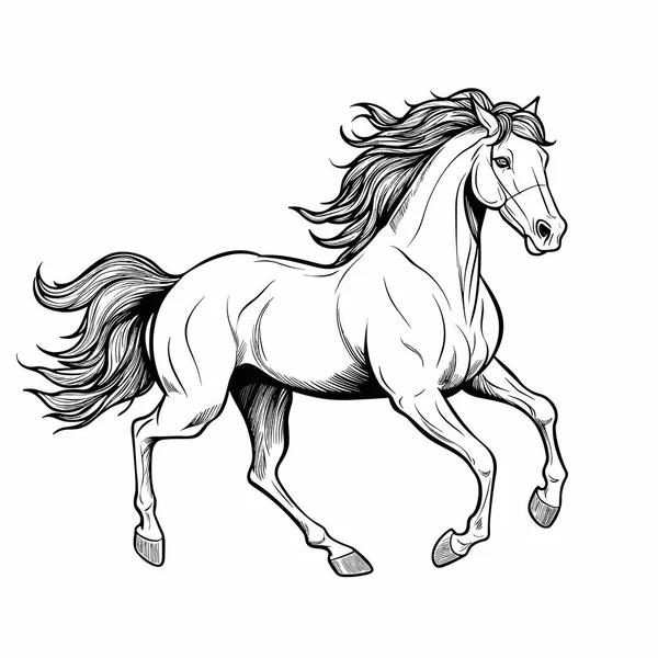 Stallion Stallion Hand Drawn Illustration Vector Doodle Style Cartoon Illustration — Stock Vector