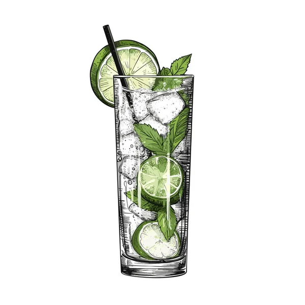 Mojito Mojito Cocktail Illustration Comique Dessinée Main Illustration Vectorielle Dessin — Image vectorielle