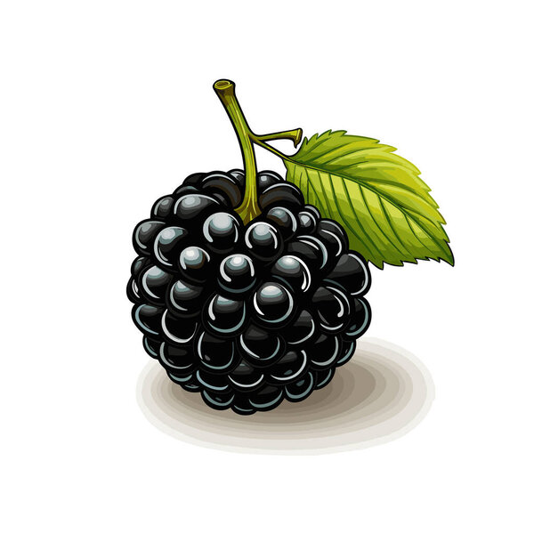 Комическая иллюстрация от руки Blackberry. Blackberry. Векторная иллюстрация в стиле каракулей