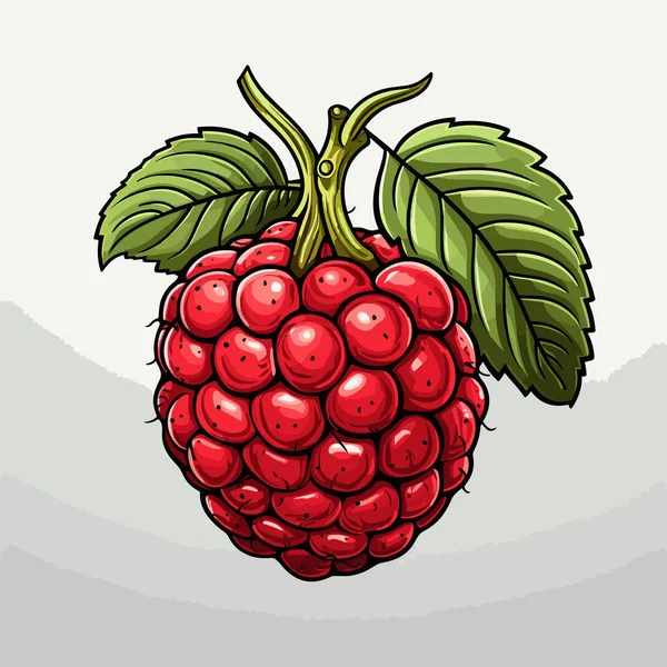 Ilustrasi Komik Buatan Tangan Raspberry Raspberry Ilustrasi Kartun Gaya Doodle - Stok Vektor