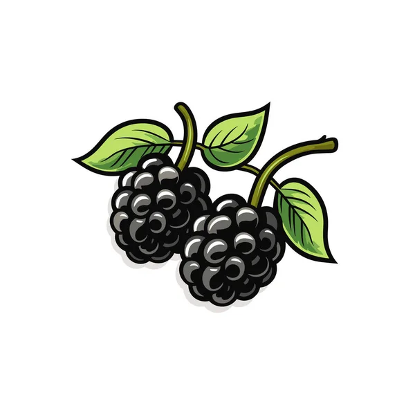 Ilustrasi Komik Buatan Tangan Blackberry Blackberry Ilustrasi Kartun Gaya Doodle - Stok Vektor