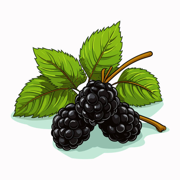 Комическая иллюстрация от руки Blackberry. Blackberry. Векторная иллюстрация в стиле каракулей