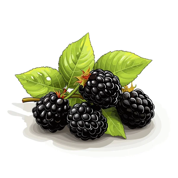 Blackberry Yapımı Çizgi Roman Çizimi Böğürtlen Vektör Karalama Stili Çizgi — Stok Vektör