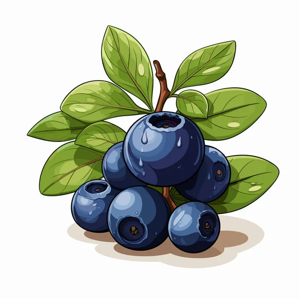 Blueberry Dibujado Mano Ilustración Cómica Arándanos Vector Doodle Estilo Ilustración — Vector de stock