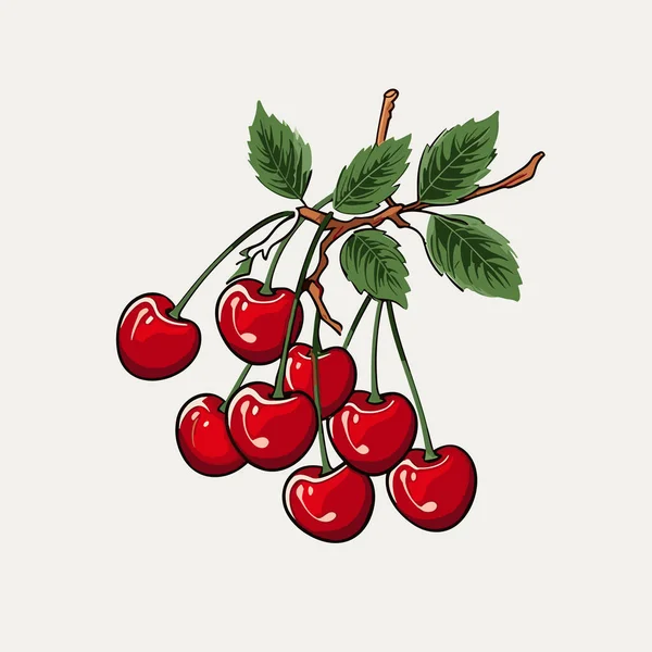 Cherry Dibujado Mano Ilustración Cómica Cereza Vector Doodle Estilo Ilustración — Vector de stock