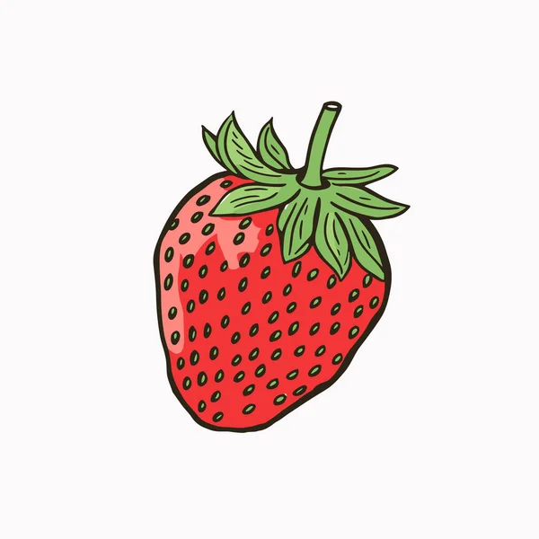 草莓手绘漫画插图 草莓味的矢量涂鸦风格卡通画 — 图库矢量图片