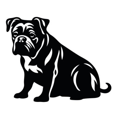 Bulldog silueti. Beyaz arkaplanda Bulldog siyah simgesi