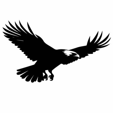 Şahin silueti. Beyaz arkaplanda Hawk siyah simgesi