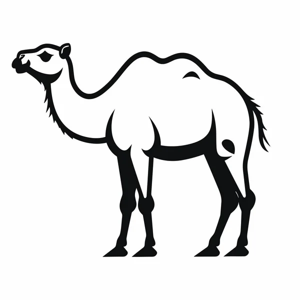 Kamelsilhouette Kamel Schwarzes Symbol Auf Weißem Hintergrund — Stockvektor