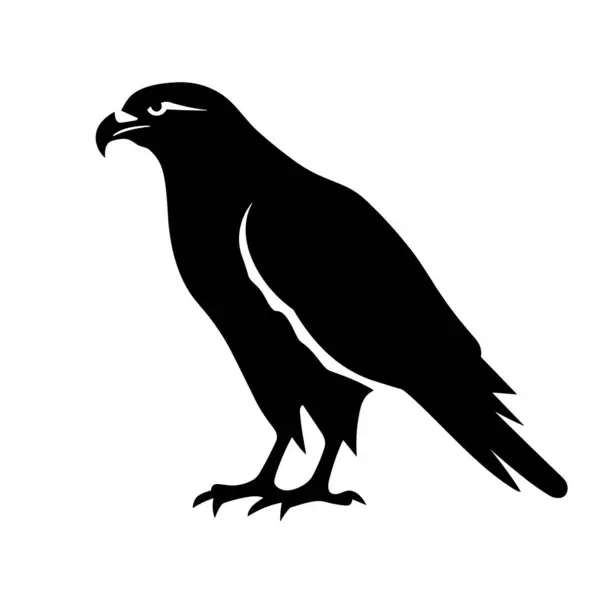 Silueta Halcón Hawk Icono Negro Sobre Fondo Blanco — Archivo Imágenes Vectoriales