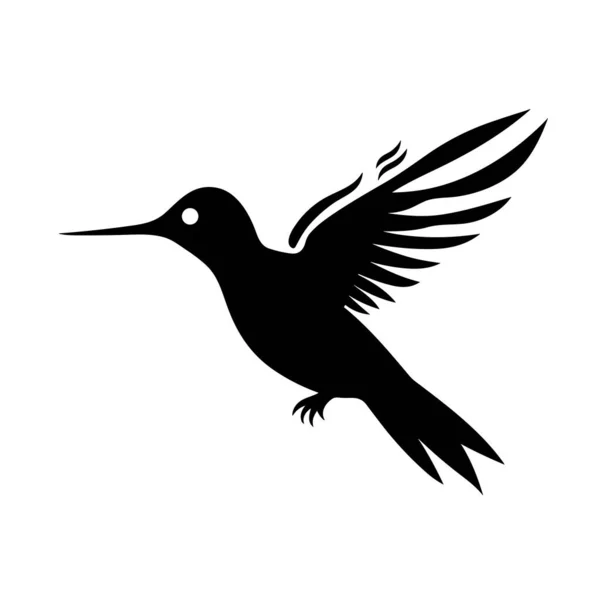 Silhueta Beija Flor Hummingbird Ícone Preto Fundo Branco — Vetor de Stock