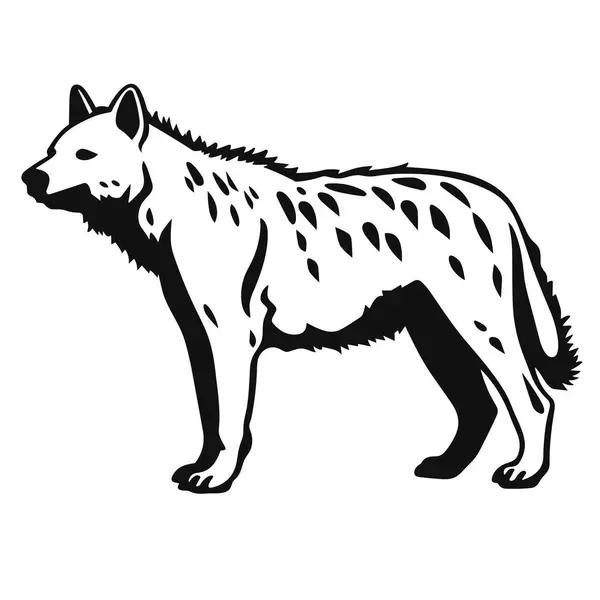 Hyena Siluett Hyena Svart Ikon Vit Bakgrund — Stock vektor