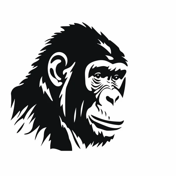 Silhouette Chimpanzé Icône Noire Chimpanzé Sur Fond Blanc — Image vectorielle