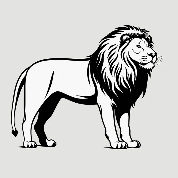 Leeuwen Silhouet Lion Zwart Pictogram Witte Achtergrond — Stockvector