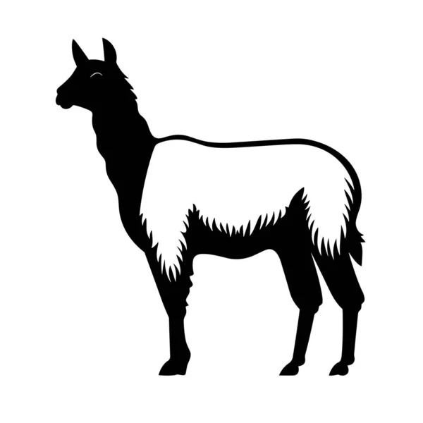 Lama Silhouet Lama Zwart Pictogram Witte Achtergrond — Stockvector