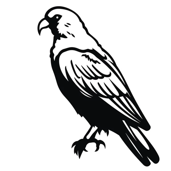 Papagáj Sziluett Papagáj Fekete Ikon Fehér Háttér — Stock Vector