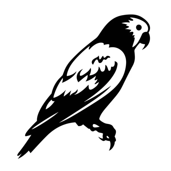 Sylwetka Papugi Papuga Czarna Ikona Białym Tle — Wektor stockowy