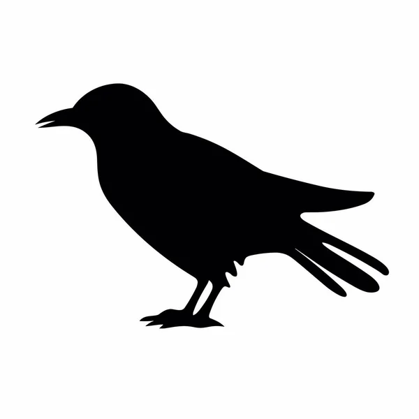 Silueta Cuervo Icono Negro Cuervo Sobre Fondo Blanco — Vector de stock