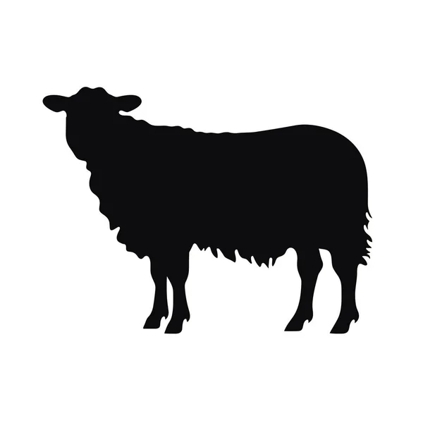 Sylwetka Owcy Owcza Czarna Ikona Białym Tle — Wektor stockowy