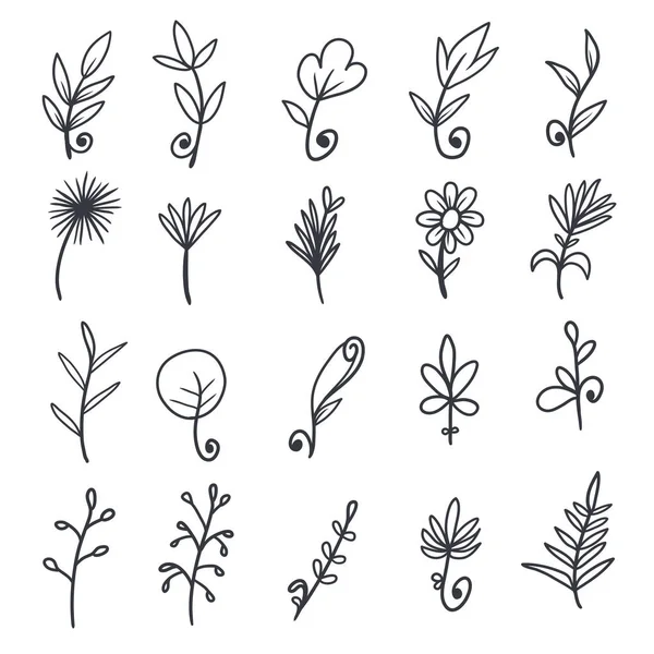 Колекція Квіткових Елементів Намальованих Вручну — стоковий вектор