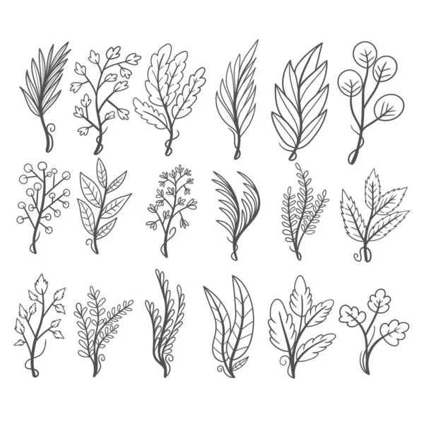 花の要素手描きセットバンドルコレクション — ストックベクタ