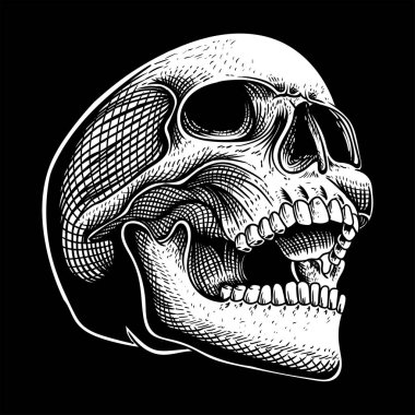 Kafatası konumu eğik vektör illüstrasyonuna bakıyor