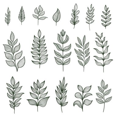 Bitki ögeleri koleksiyon vektör illüstrasyonunu ayarla