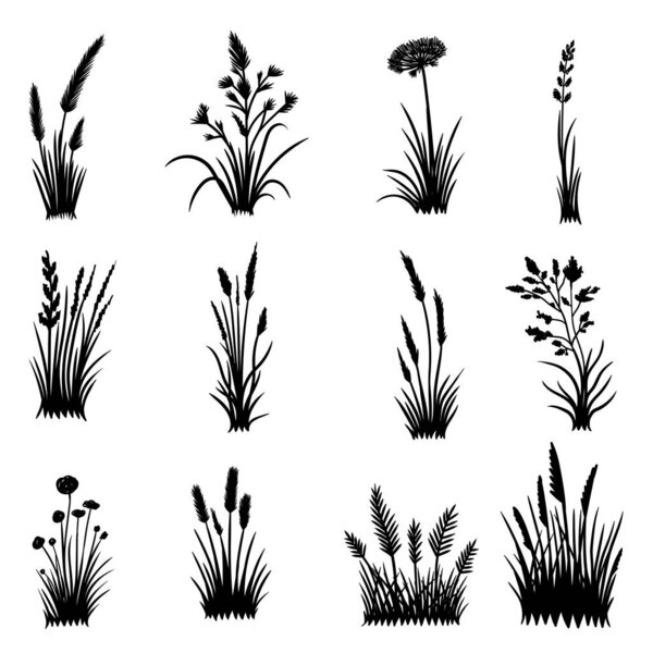 Grass elements set collection vector illustration