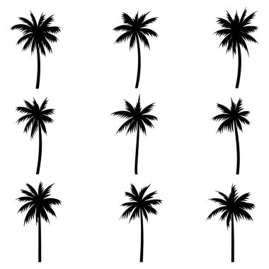 Palmiye ağacı hindistan cevizi silueti koleksiyonu