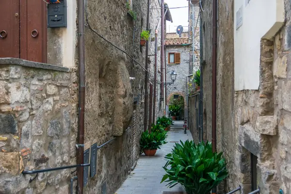 İtalya, Bolsena 'da saksı bitkilerinin olduğu dar bir sokak.
