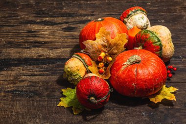 Eski ahşap arka planda sonbahar şenlik kompozisyonu. Dekoratif balkabağı, dökülen yapraklar, böğürtlen ve meşe palamudu. Sert ışık, karanlık gölge, düz yatış, kopyalama alanı